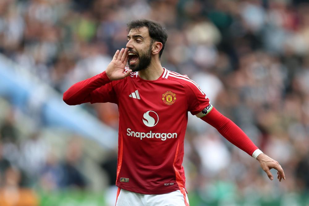 这是社会的 这是社会的